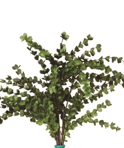 Rama Pétala Verde 105cm