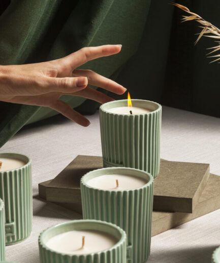 Vela Portus Cale White Crane
